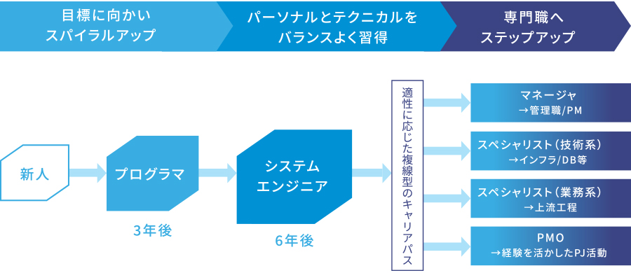 アネステック入社後のキャリアパス