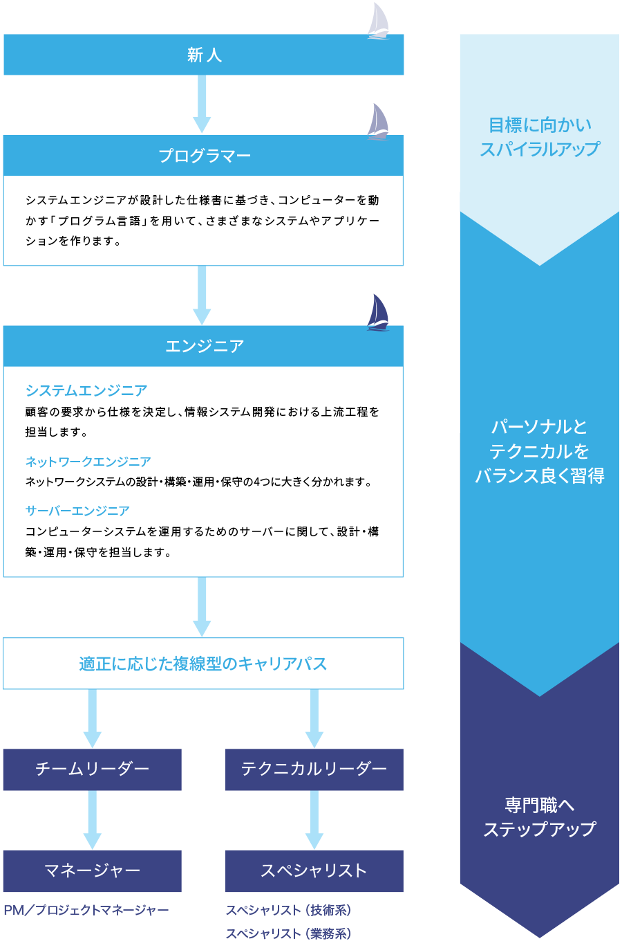 アネステック入社後のキャリアパス